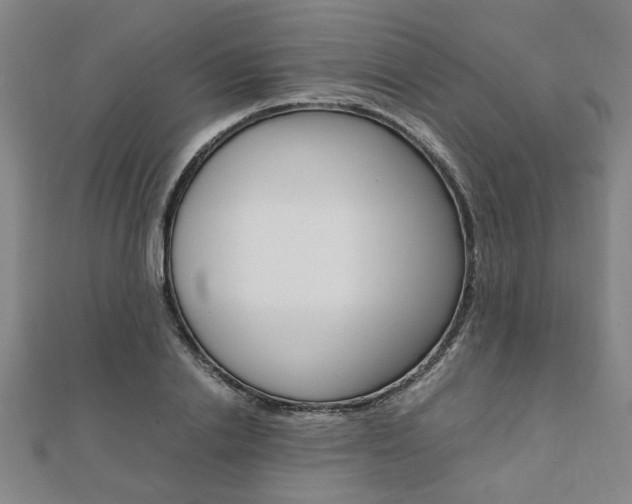 X0000112050838200908040948