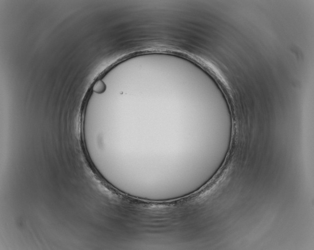 X0000112050839200908040948