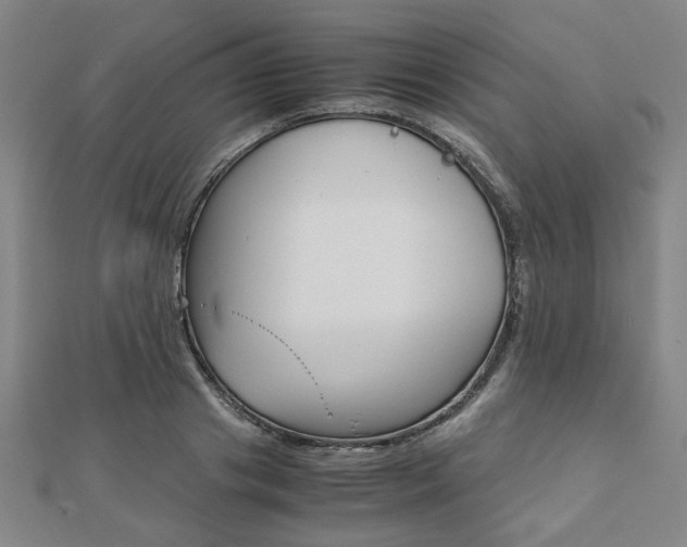 X0000112050841200908040948