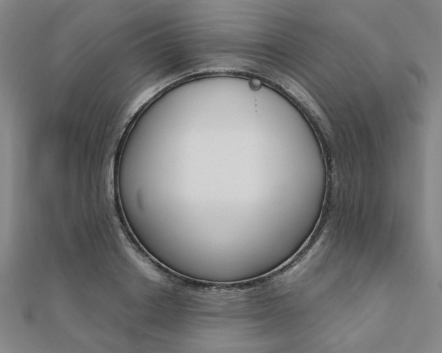 X0000112050842200908040948