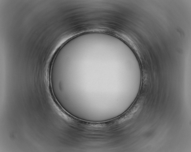 X0000112050843200908040948