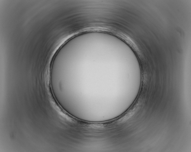 X0000112050844200908040948