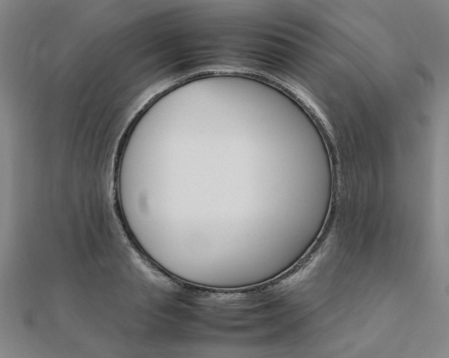 X0000112050845200908040948