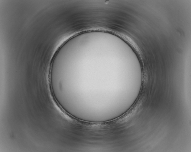 X0000112050847200908040948