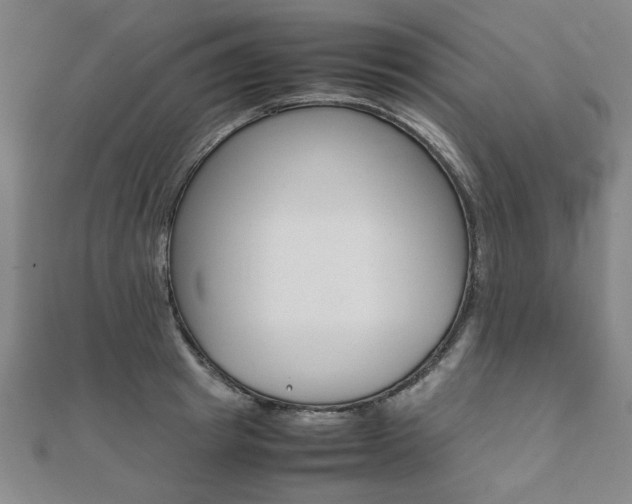 X0000112050849200908040948