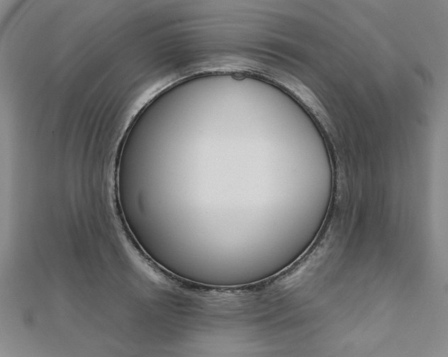 X0000112050850200908040948