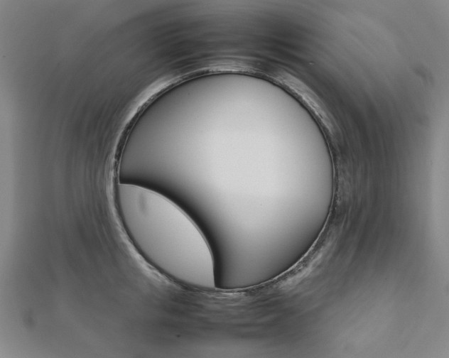 X0000112050853200908040948