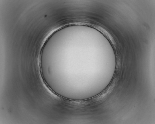 X0000112050855200908040948