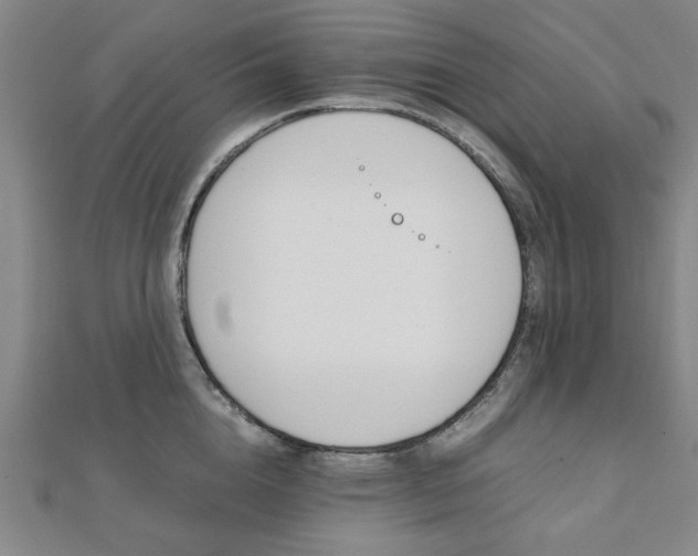 X0000112050856200908040948