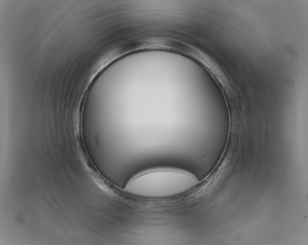 X0000112050858200908040948