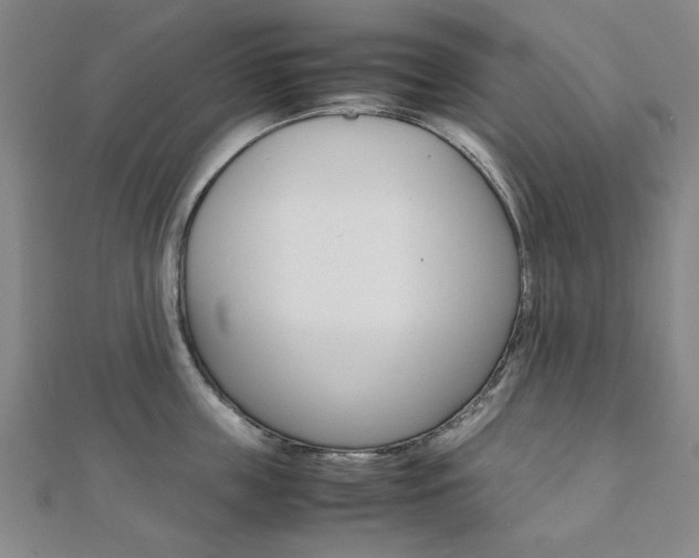 X0000112050859200908040948