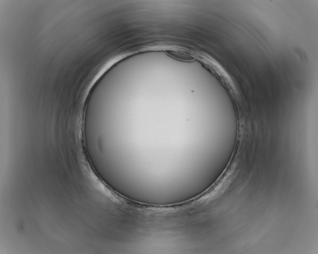 X0000112050860200908040948