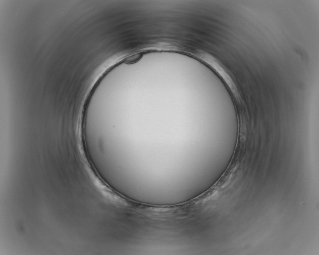 X0000112050861200908040948