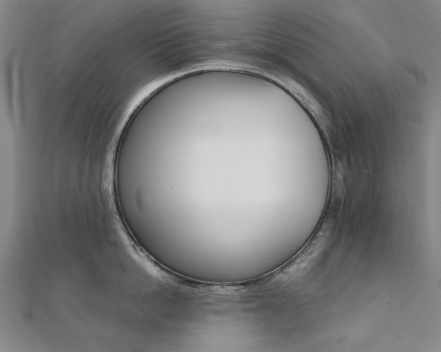 X0000112050862200908040948