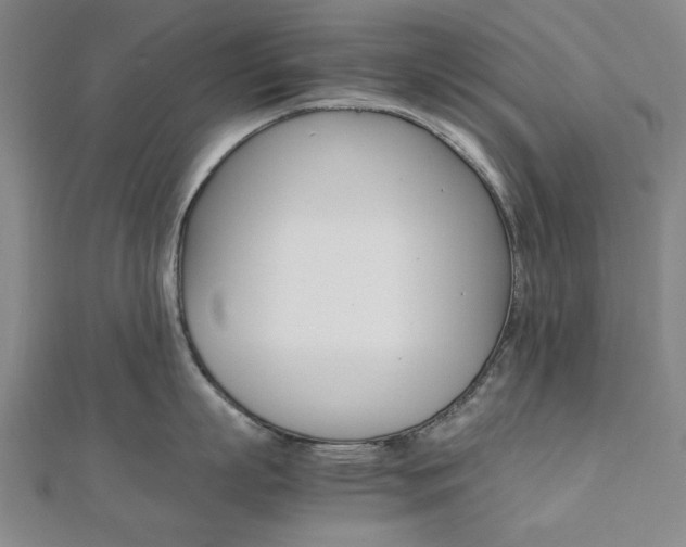 X0000112050863200908040948