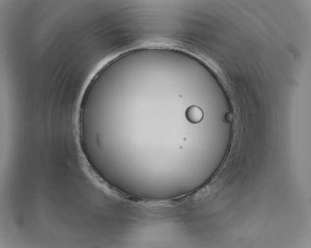 X0000112050864200908040948