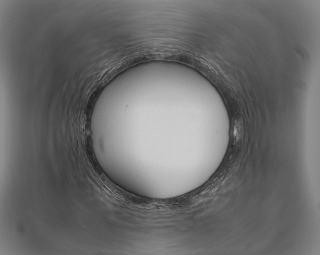 X0000112050867200908040948