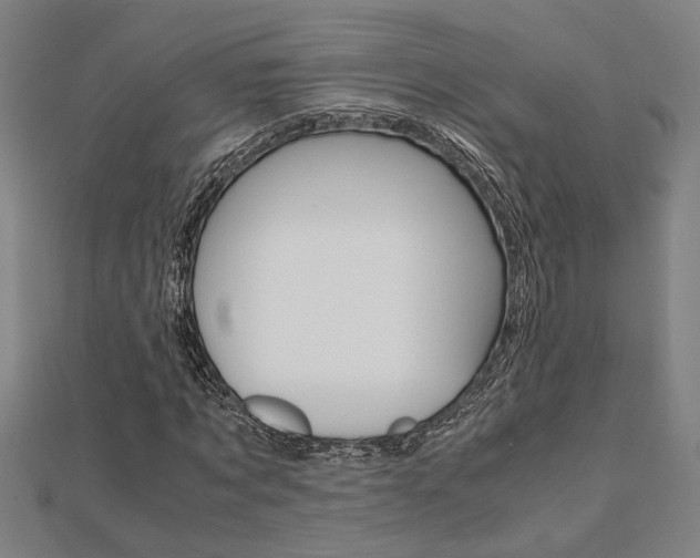 X0000112050869200908040948