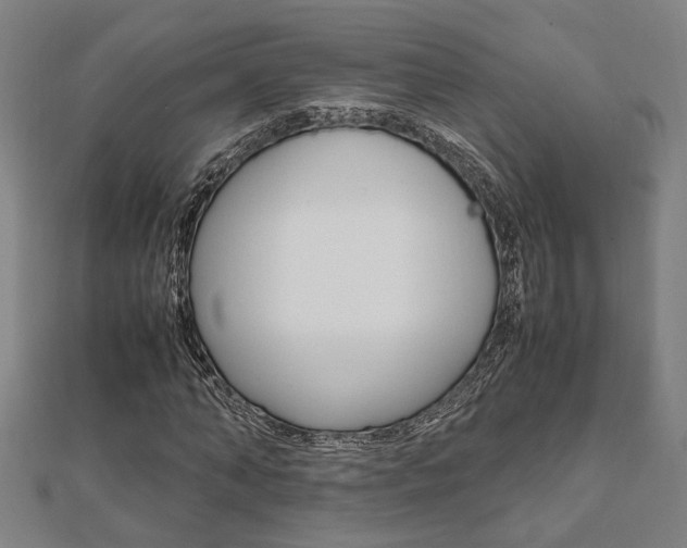 X0000112050870200908040948