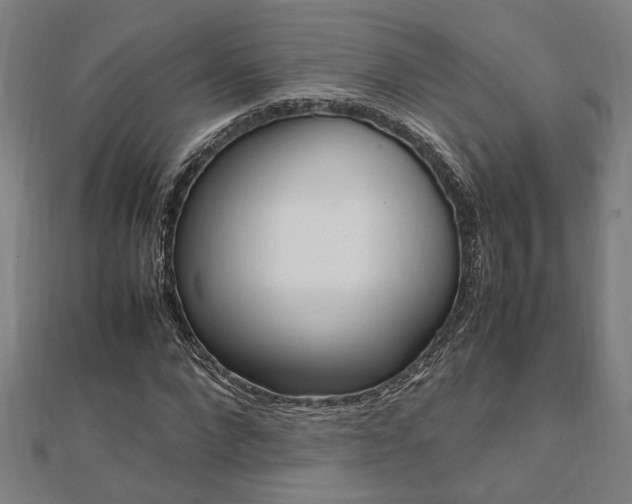X0000112050872200908040947