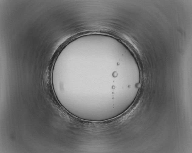 X0000112050875200908040947