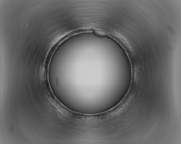 X0000112050876200908040947