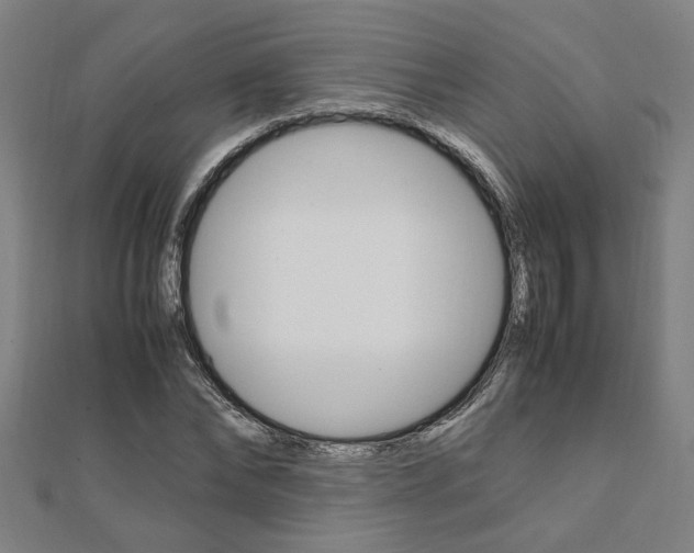 X0000112050878200908040947