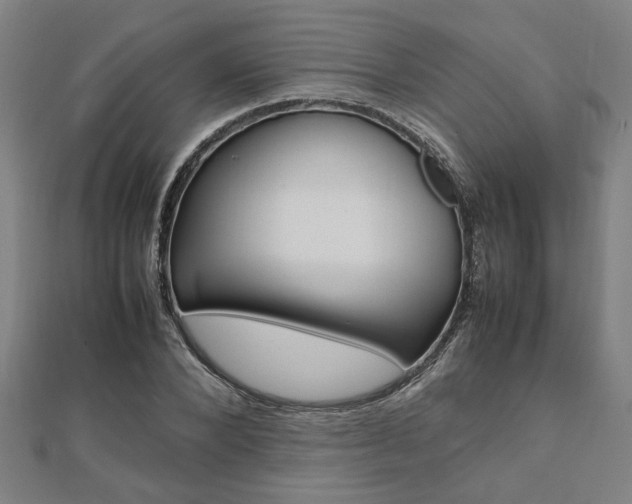 X0000112050880200908040947