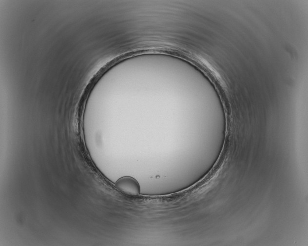 X0000112050883200908040947