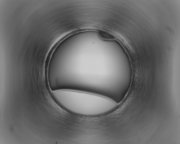 X0000112050884200908040947