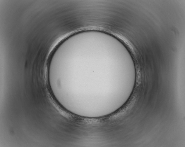 X0000112050886200908040947