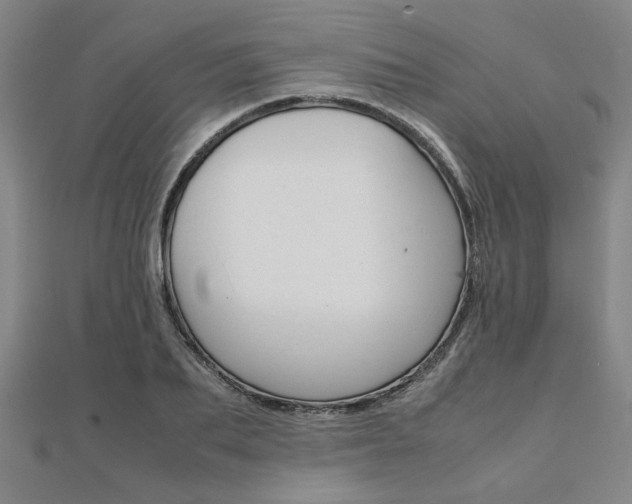 X0000112050887200908040947