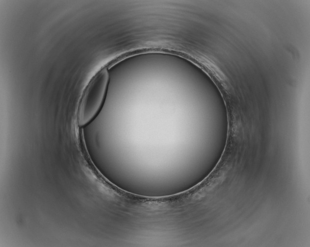 X0000112050888200908040947