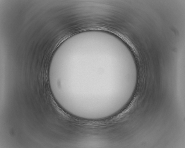 X0000112050889200908040947