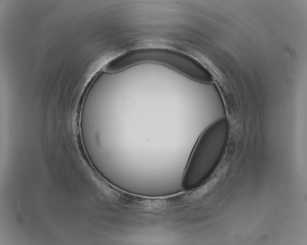 X0000112050893200908040947