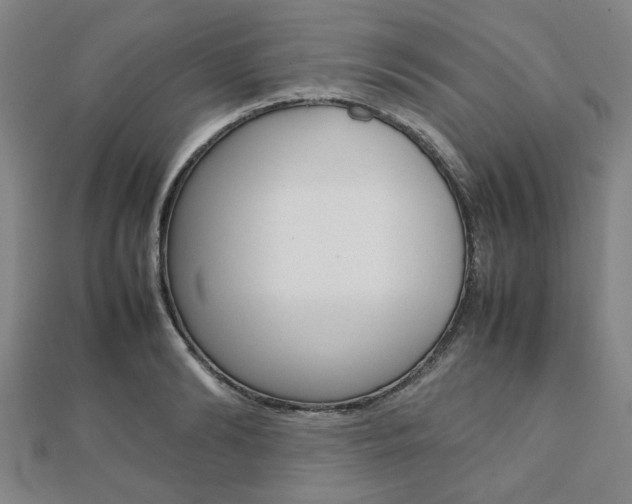 X0000112050894200908040947