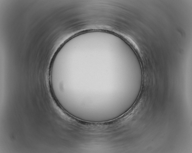 X0000112050895200908040947