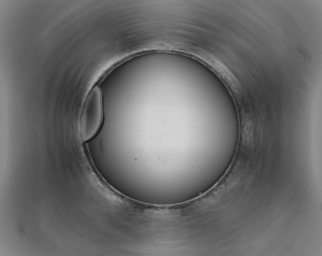 X0000112050896200908040947
