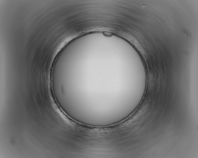 X0000112050898200908040947