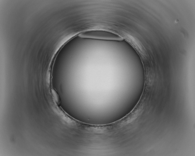 X0000112050900200908040947