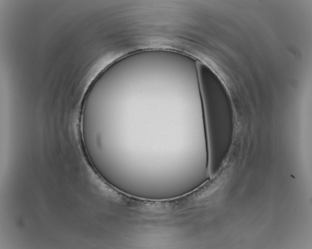 X0000112050901200908040947
