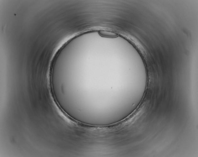 X0000112050902200908040947