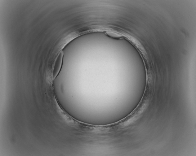 X0000112050905200908040947