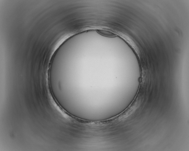 X0000112050906200908040947