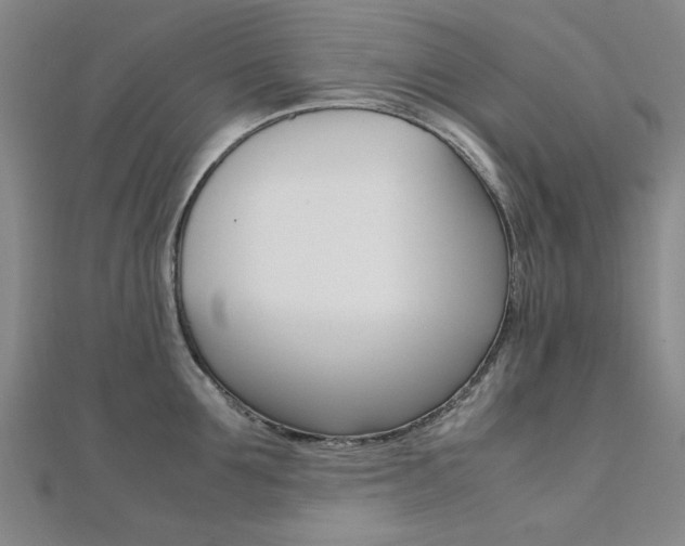 X0000112050907200908040947