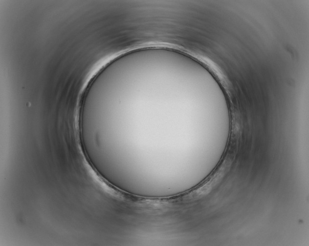 X0000112050910200908040947