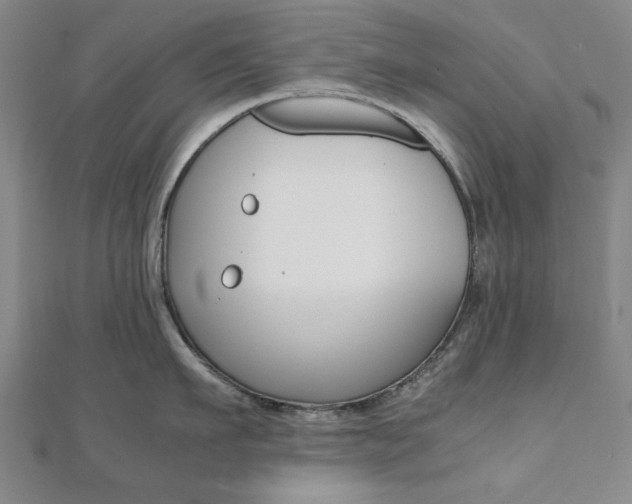 X0000112050911200908040947