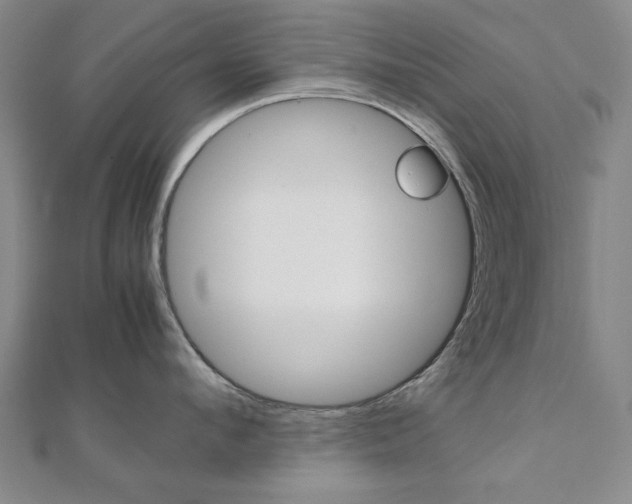 X0000112050912200908040947