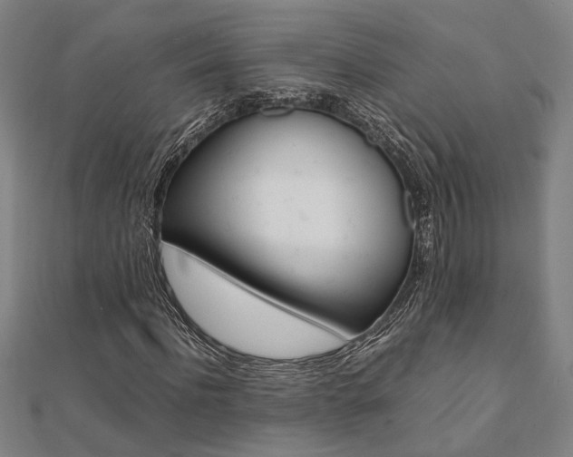 X0000112050916200908040946