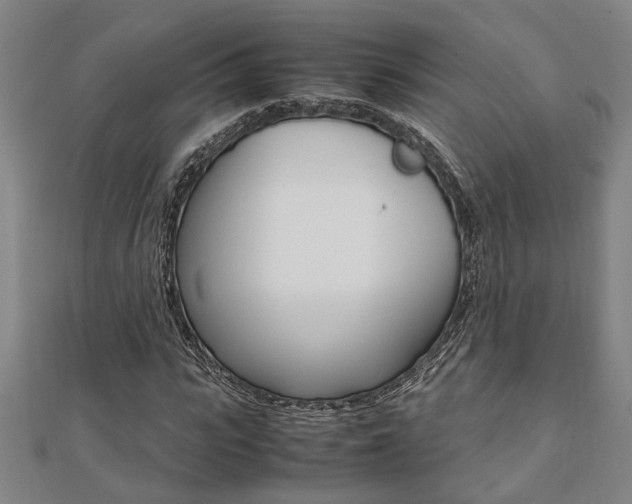 X0000112050919200908040946